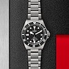 Tudor Pelagos